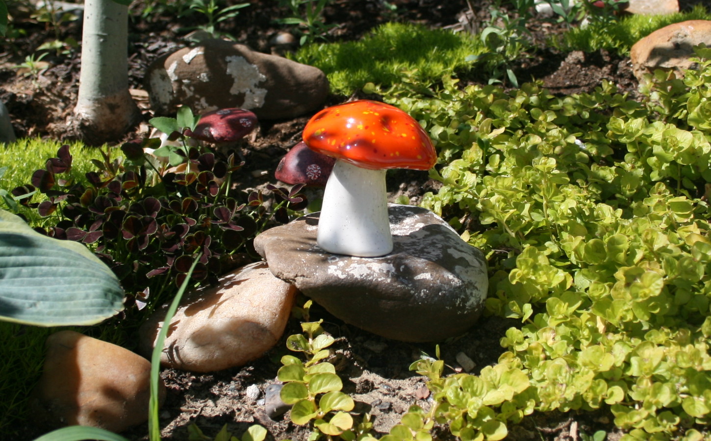 Toadstool